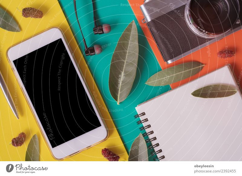 Kreativer flacher Lay mit modischem Objekt auf farbigem Hintergrund Lifestyle Stil Leben Ferien & Urlaub & Reisen Ausflug Sommer Dekoration & Verzierung
