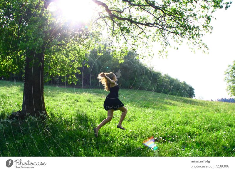 Holla die Waldfee. Umwelt Natur Landschaft Horizont Pflanze Gras Sträucher Lächeln rennen Glück Unendlichkeit feminin wild grün Lebensfreude schön Lust dankbar