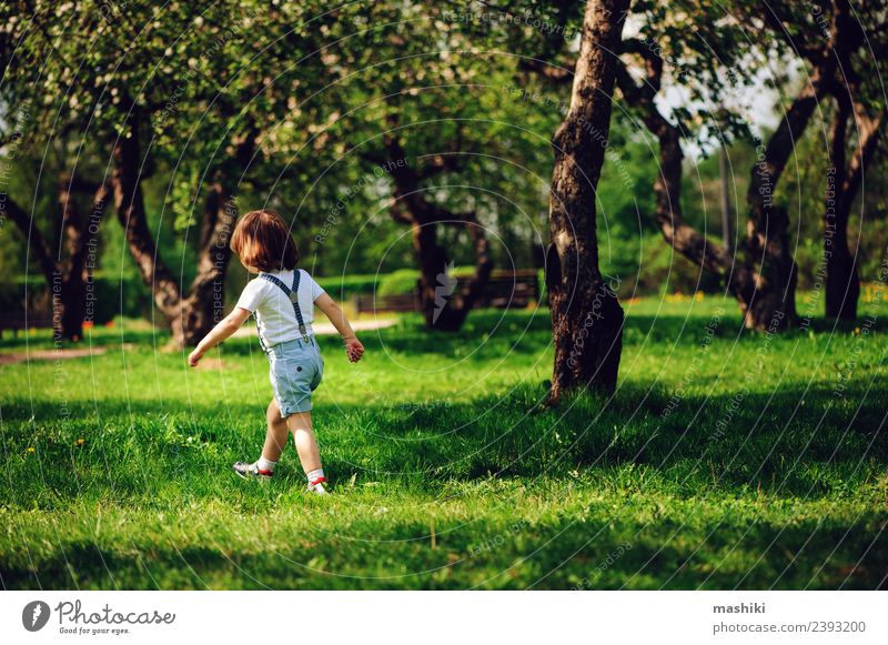 Kleinkind Kind Junge Bube Bube allein gehend Stil Freude Glück Spielen Ferien & Urlaub & Reisen Sommer Garten Kindheit Natur Wärme Baum Park Mode Hemd Lächeln