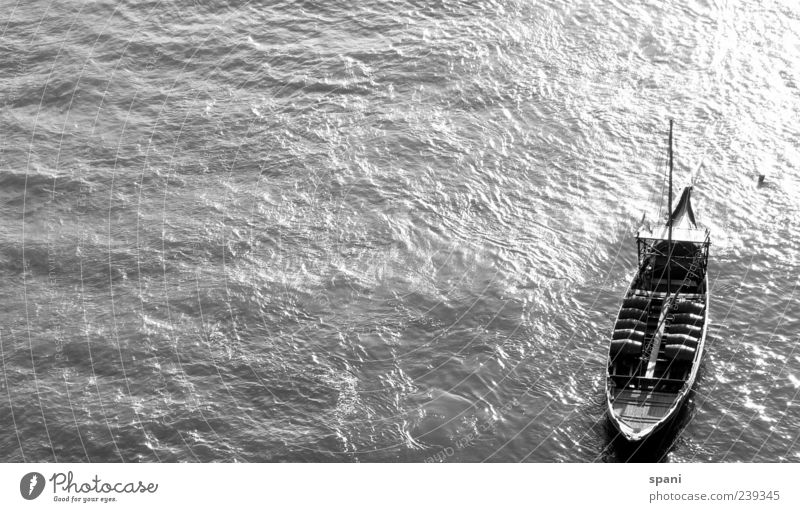 fishing Sonnenlicht Sommer Fluss ästhetisch glänzend ruhig Stil Stimmung Wasserfahrzeug Frachter Wellengang Reflexion & Spiegelung Schwarzweißfoto Außenaufnahme