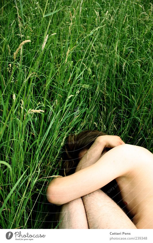 HIDE and SEEK maskulin Junger Mann Jugendliche Erwachsene Natur Gras Wiese Feld brünett festhalten hocken liegen machen nackt natürlich dünn Einsamkeit