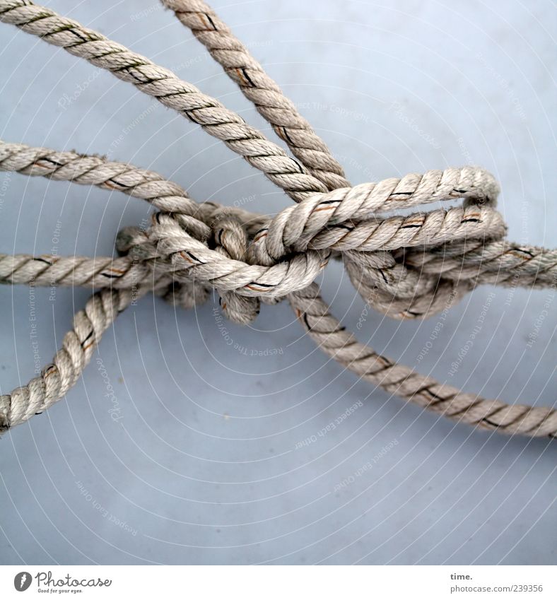 Verschlungene Pfade Segelboot Seil Knoten maritim ästhetisch komplex Netzwerk Ordnung Rätsel Irritation grau Schlaufe Vor hellem Hintergrund Menschenleer