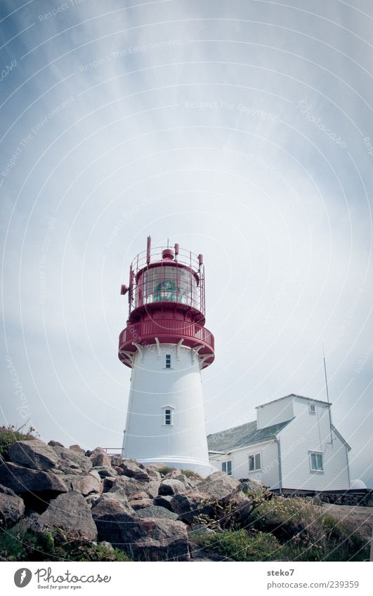 Turm vom Rottreppchen Küste Haus Leuchtturm blau rot weiß Sicherheit Norwegen Ferien & Urlaub & Reisen Farbfoto Außenaufnahme Menschenleer Textfreiraum oben Tag