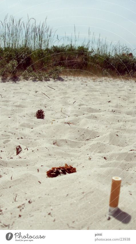 strandsand 1 Strand Sträucher Schilfrohr Zigarette grün Sand Zigarettenstummel