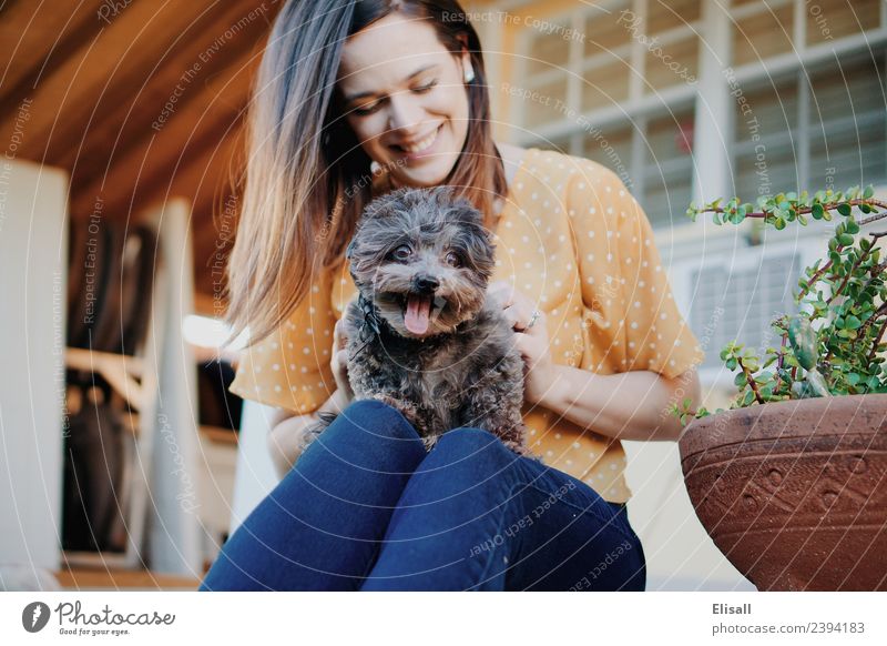 Frau mit ihrem Haushund Lifestyle Mensch Erwachsene Mutter 1 18-30 Jahre Jugendliche Tier Haustier Hund Gefühle Stimmung Freude Fröhlichkeit Sicherheit Schutz