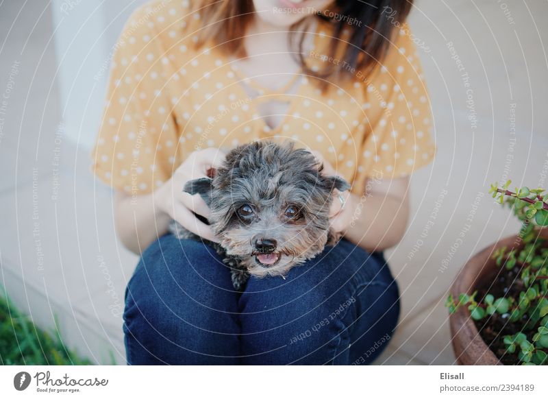 Frau und ihr Haushund Lifestyle Freude Freizeit & Hobby Mensch Erwachsene Freundschaft 1 18-30 Jahre Jugendliche Tier Haustier Hund genießen Gefühle Stimmung