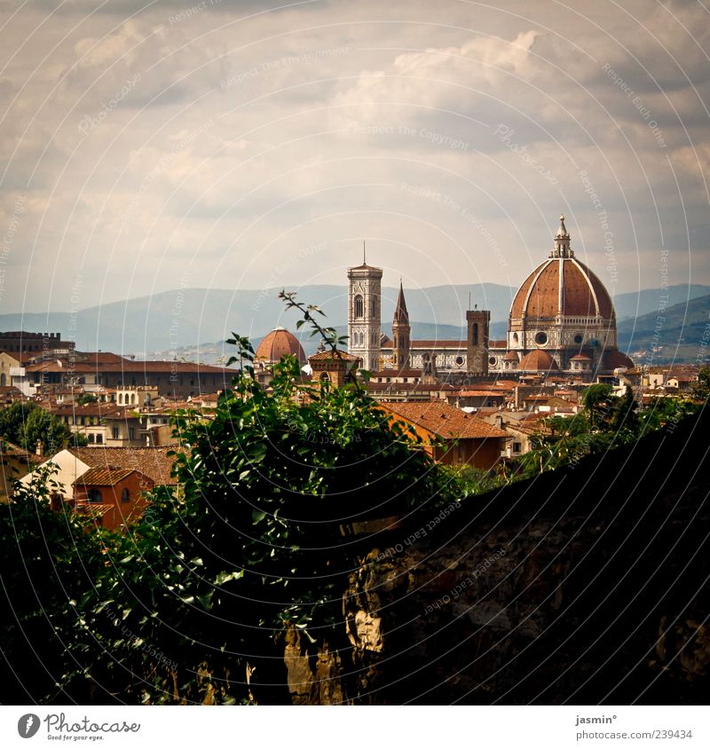 Firenze #2 Umwelt Himmel Wolken Klima Hügel Stadt Stadtzentrum Stadtrand Skyline Kirche Dom Sehenswürdigkeit Wahrzeichen alt elegant historisch Farbfoto