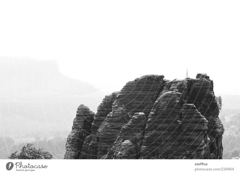 zerklüftet Umwelt Landschaft Felsen Berge u. Gebirge Elbsandsteingebirge Schwarzweißfoto Außenaufnahme Menschenleer Reisefotografie