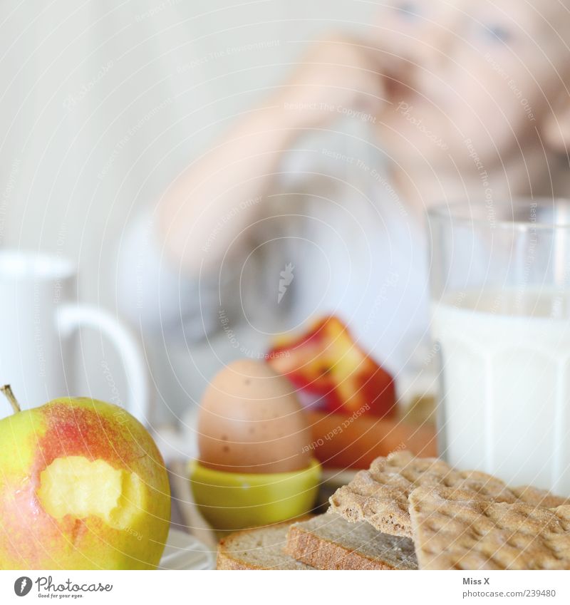 Frühstück für PC Lebensmittel Frucht Apfel Brot Ernährung Essen Getränk Erfrischungsgetränk Milch Becher Glas Mensch Kind Kleinkind 1 1-3 Jahre 3-8 Jahre