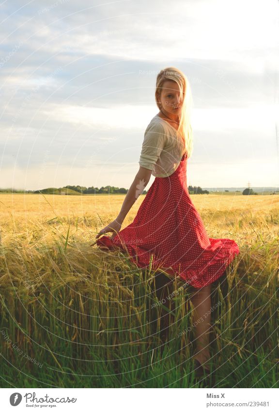 rotes Lieblingskleid schön ruhig Mensch feminin Junge Frau Jugendliche 1 18-30 Jahre Erwachsene Sonnenlicht Sommer Gras Feld Mode Kleid blond Natur Kornfeld