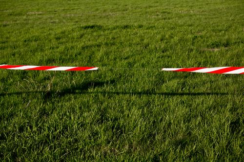 Absperrband Wiese Rasen Sportrasen Gras Barriere flattern Durchgang Durchfahrtsverbot Verbote Tatort Grenze Warnhinweis Warnung Lücke Perforierung Loch