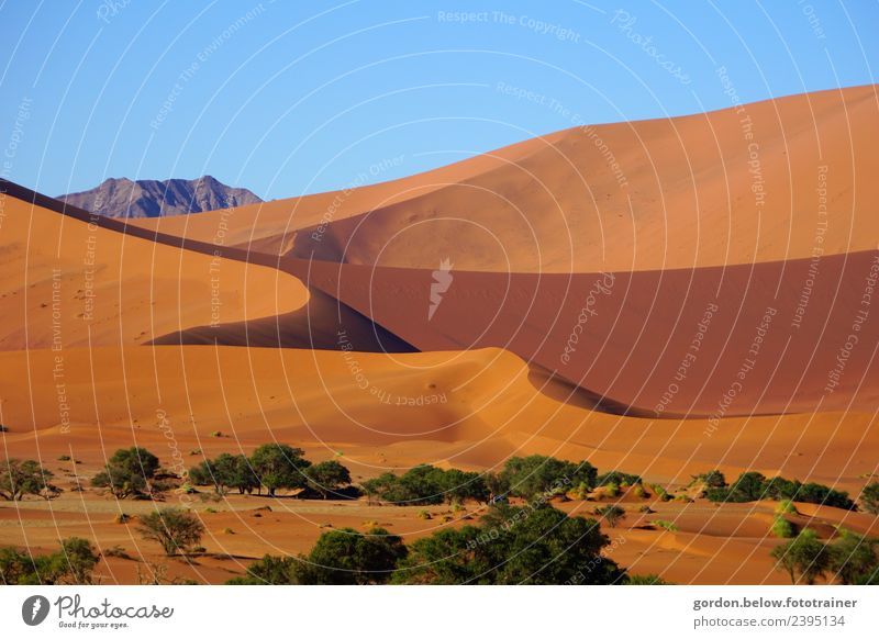Sandspiele Umwelt Landschaft Erde Schönes Wetter Dürre Wüste Namib Menschenleer dankbar Vorsicht Gelassenheit geduldig ruhig Sehnsucht Fernweh Farbfoto
