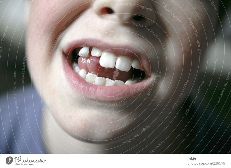 gewagter Tastsinn Kind Kindheit Jugendliche Leben Mund Zähne Zunge 8-13 Jahre berühren Bewegung hängen machen natürlich Gefühle Stimmung achtsam Vorsicht