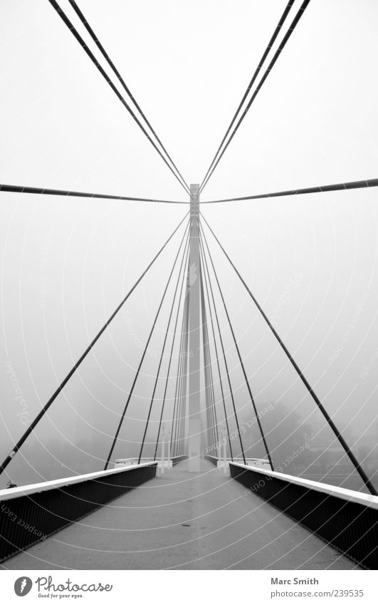 Stairway to the Stars Nebel bevölkert Brücke Architektur leuchten grau schwarz weiß Schwarzweißfoto Außenaufnahme Menschenleer Morgen Brückenkonstruktion
