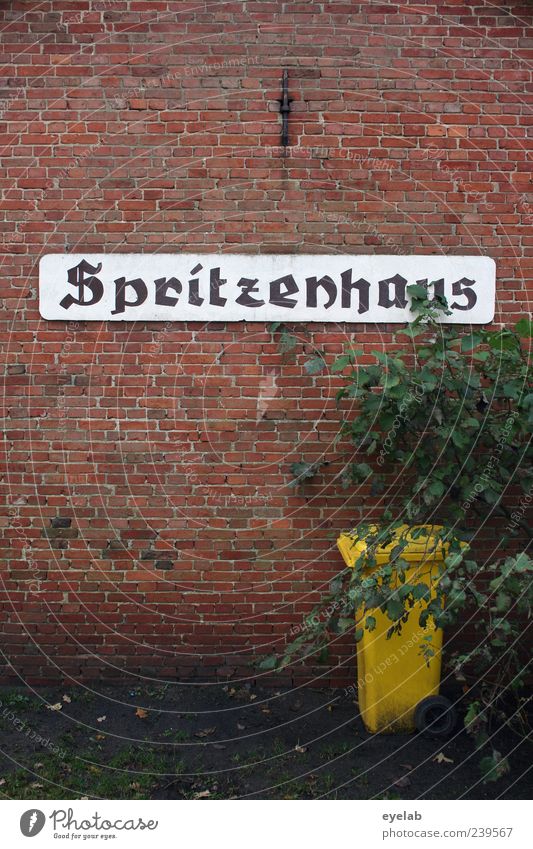 Das ist spritze ! Pflanze Sträucher Haus Bauwerk Gebäude Mauer Wand Fassade Zeichen Schriftzeichen Schilder & Markierungen alt historisch retro trashig gelb rot