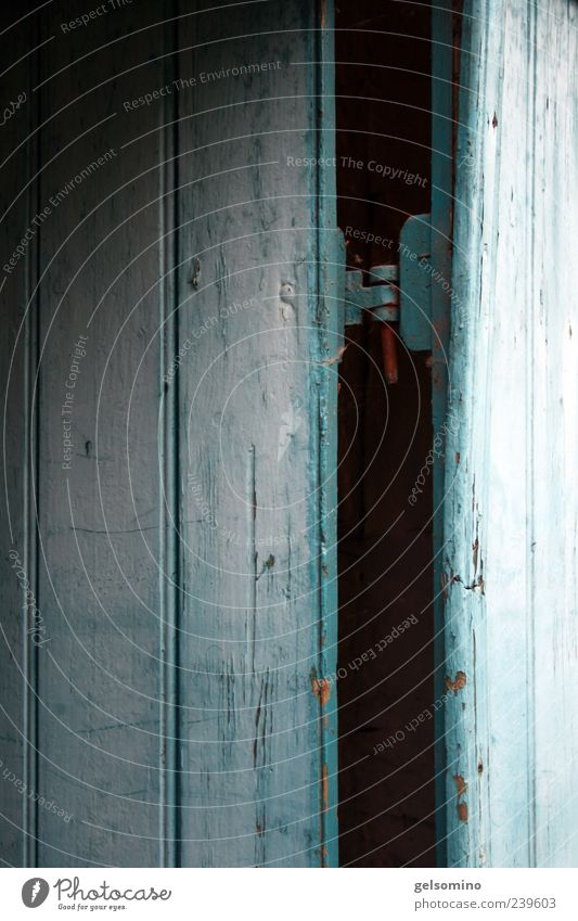 spinksen Tür Holz antik alt dunkel fest blau Farbfoto Außenaufnahme Scharnier Holztür rustikal Textfreiraum unten Textfreiraum links Menschenleer