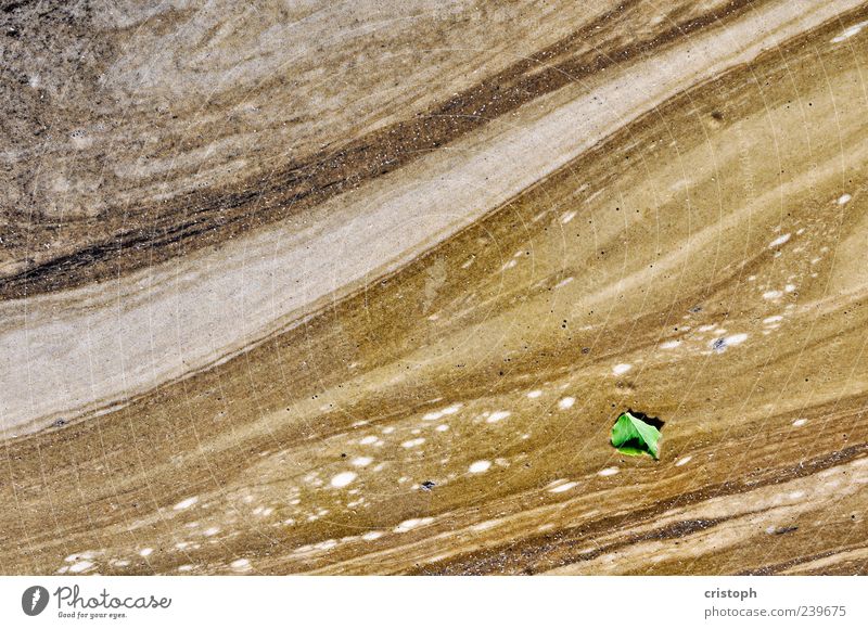 Saturn Natur Erde Blatt Grünpflanze Teich Wüste Sand ästhetisch elegant Flüssigkeit trist braun grün Einsamkeit Bewegung Farbfoto Gedeckte Farben Außenaufnahme