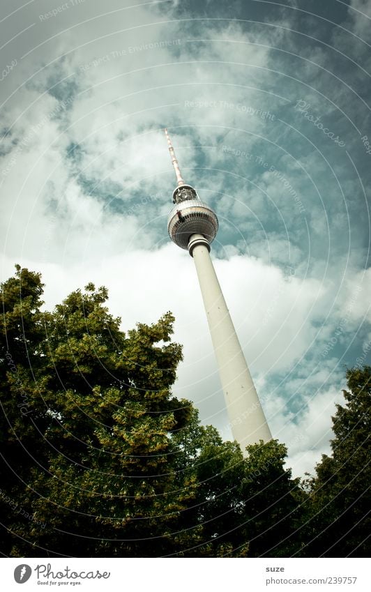 Wächst und gedeiht Kultur Umwelt Himmel Wolken Wetter Baum Hauptstadt Bauwerk Architektur Sehenswürdigkeit Wahrzeichen grün Berlin Deutschland Europa