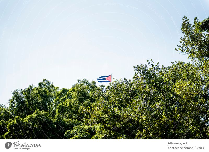 Kleine Kuba Fahne hinter Bäumen Havanna Baum Baumkrone grün Blatt Wind wehen Standarte Patriotismus Ferien & Urlaub & Reisen Reisefotografie Natur Sozialismus