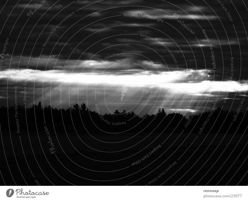 // Erleuchtung - SW // Wolken Licht Erkenntnis dunkel hell Wetter Panorama (Aussicht) Baum Himmel Schwarzweißfoto Lichtstrahl Beleuchtung verrückt Morgen
