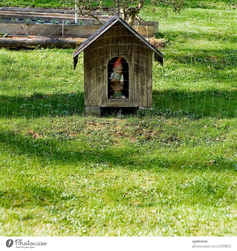 Kleingartentraum Lifestyle Stil Design Wohlgefühl Erholung ruhig Freizeit & Hobby Häusliches Leben Umwelt Natur Gras Wiese Haus Hütte einzigartig entdecken