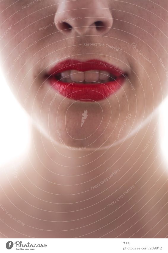 100 Kisses! Mensch feminin Junge Frau Jugendliche Erwachsene Gesicht Nase Mund Lippen Zähne 18-30 Jahre elegant Erwartung rein Stimmung Lippenstift rot leuchten