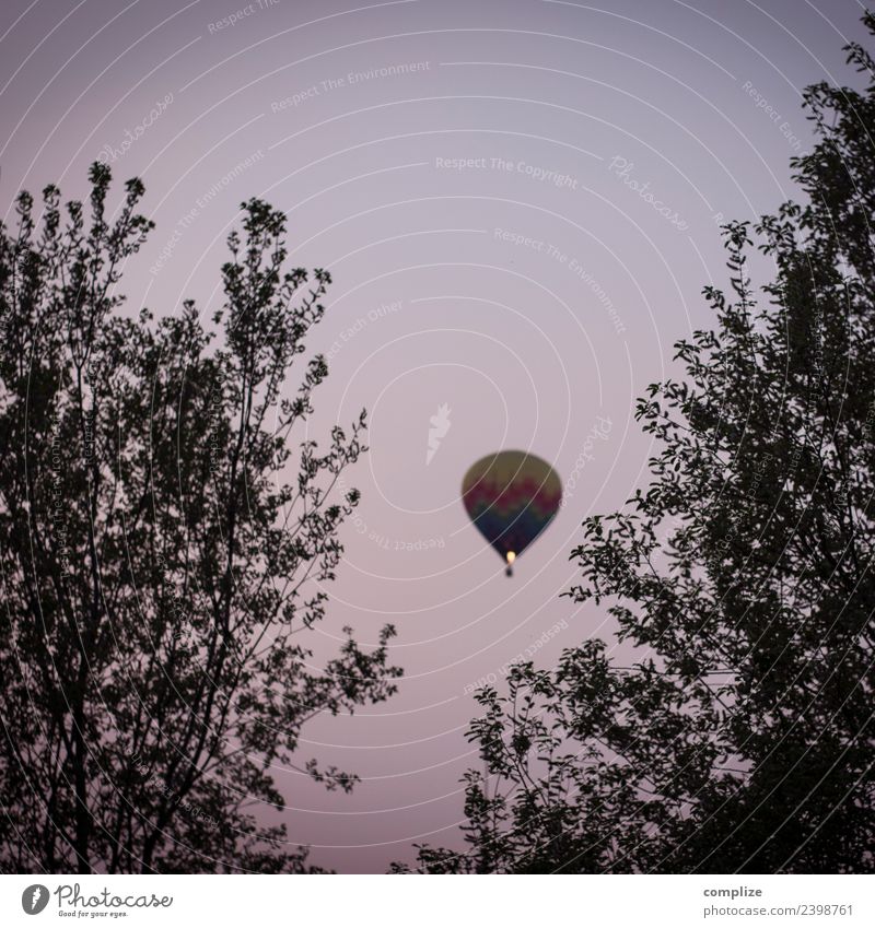 Heißluftballon Zufriedenheit Ferien & Urlaub & Reisen Ausflug Abenteuer Ferne Sommer Wolkenloser Himmel Frühling Pflanze Baum Luftverkehr Fluggerät Ballone