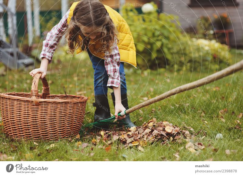 Kind Mädchen Kommissionierung Blätter in den Korb Freude Garten Arbeit & Erwerbstätigkeit Gartenarbeit Herbst Baum Gras Blatt natürlich gelb Gärtner Helfer