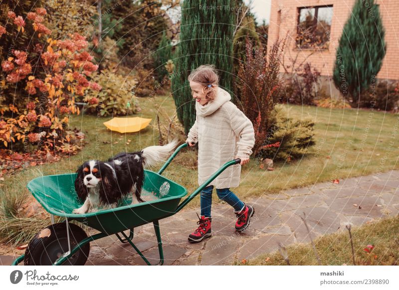 lustiges Kind Mädchen reitet mit ihrem Hund in der Schubkarre Lifestyle Freude Spielen Garten Freundschaft Kindheit Herbst Wetter Pullover Haustier Fröhlichkeit