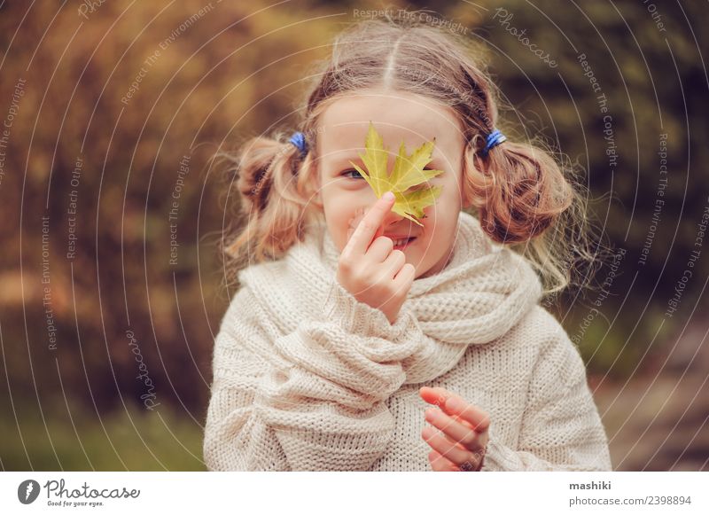Kind Mädchen spielt mit Herbst-Ahornblatt Freude Glück Spielen stricken Ferien & Urlaub & Reisen Garten Arbeit & Erwerbstätigkeit Natur Wärme Blume Blatt