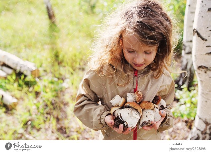 Kind Mädchen beim Sammeln von Waldpilzen 3-8 Jahre Kindheit gehen erkunden wild Herbst Sommer laufen Pilz Kommissionierung klein Baum Freiheit Natur