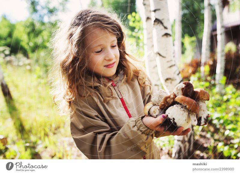Kind Mädchen beim Sammeln von Waldpilzen 8-13 Jahre Kindheit Natur Pflanze Sommer Herbst Baum genießen Jagd Lächeln laufen Pilzsucher Waldspaziergang erkunden