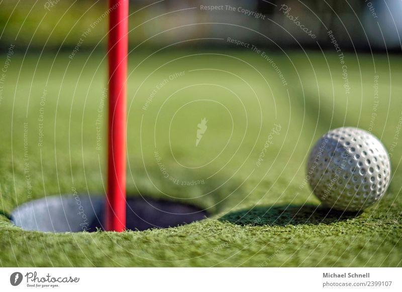 Kurz vor dem Ziel Freizeit & Hobby Spielen Minigolf Golf Erholung sportlich grün rot weiß Euphorie Optimismus Neugier Erfolg Wunsch Farbfoto Nahaufnahme