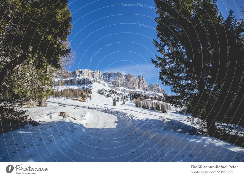 Dolomiten Umwelt Natur Landschaft blau braun grau grün schwarz weiß Berge u. Gebirge Bergen Südtirol Baum Spuren Straße Himmel Farbfoto Außenaufnahme