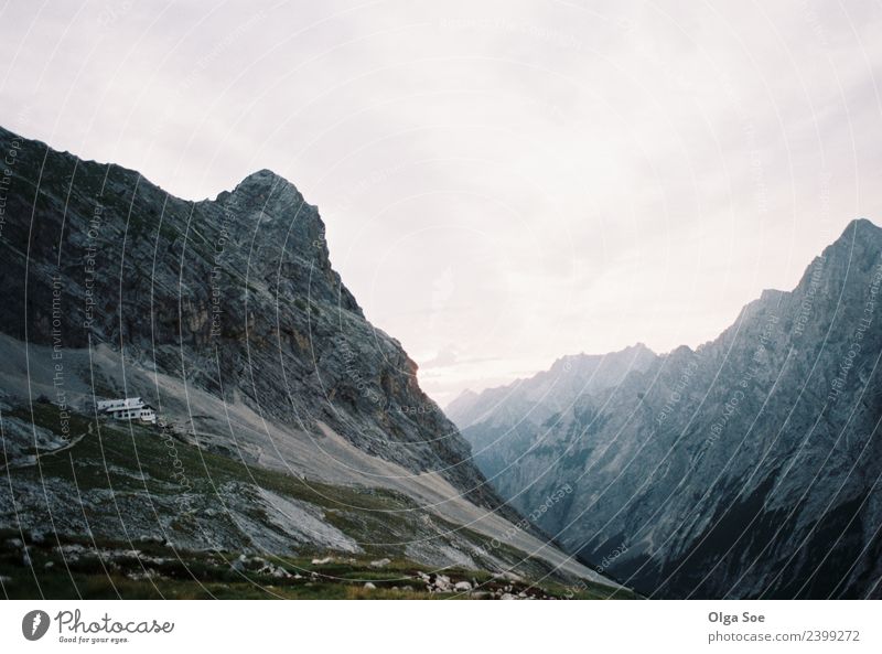 Sonnenaufgang in den Alpen Lifestyle Erholung Landschaft Himmel Horizont Nebel Berge u. Gebirge atmen Denken genießen hören laufen Ferien & Urlaub & Reisen