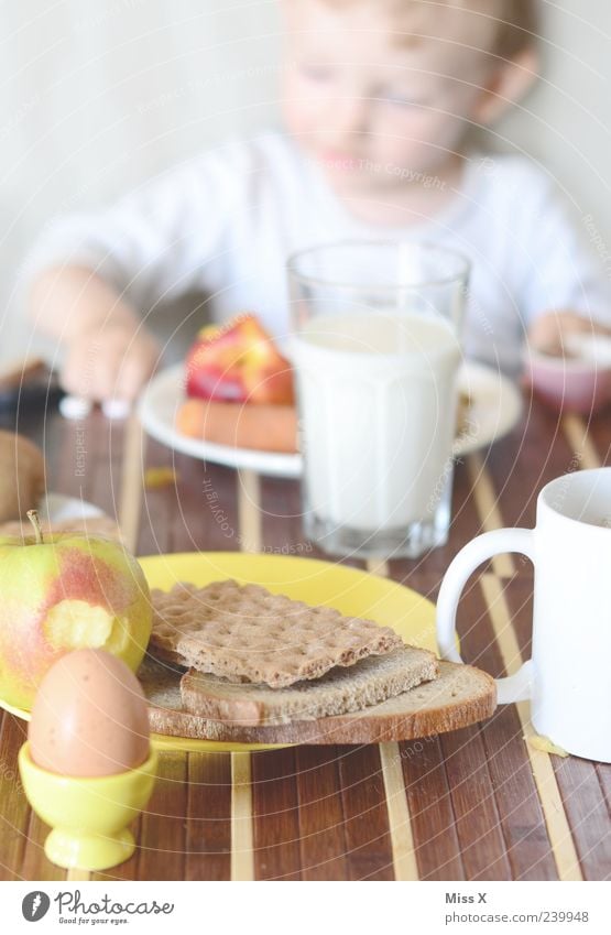 Frühstück Frucht Apfel Brot Ernährung Essen Getränk Milch Kaffee Tisch Mensch Kind Kleinkind Kindheit 1 1-3 Jahre 3-8 Jahre frisch Gesundheit lecker