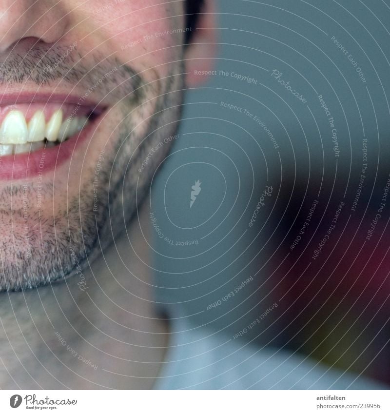 Strahlemann im Quadrat Mensch maskulin Mann Erwachsene Haut Kopf Gesicht Ohr Nase Mund Zähne Bart 1 30-45 Jahre T-Shirt schwarzhaarig Dreitagebart Lächeln