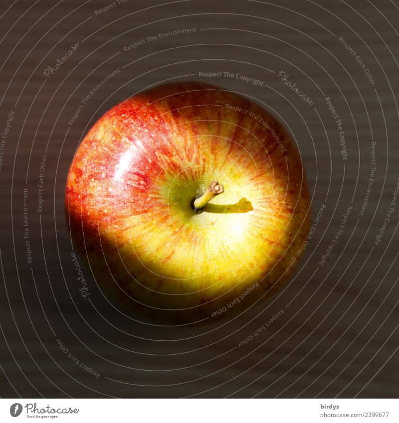 Apfel - Licht und Schatten Frucht Ernährung Gesunde Ernährung Duft leuchten authentisch einfach frisch Gesundheit lecker positiv saftig gelb grau rot genießen