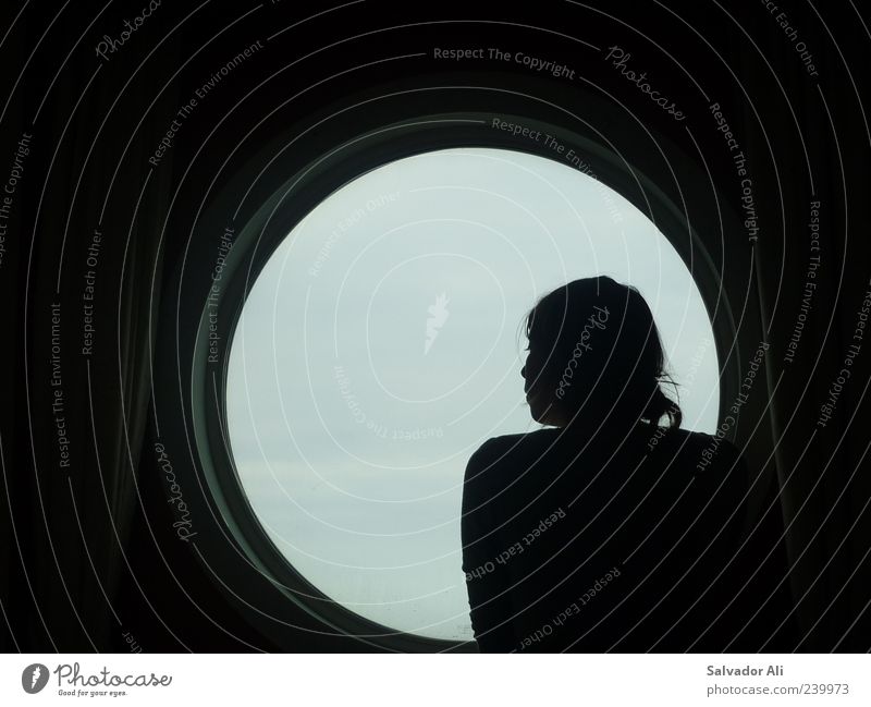 Wovon sollen wir träumen? feminin Junge Frau Jugendliche Kreuzfahrt Kreuzfahrtschiff Glas Metall schön grau Gefühle Fernweh nachdenklich Silhouette Ferne