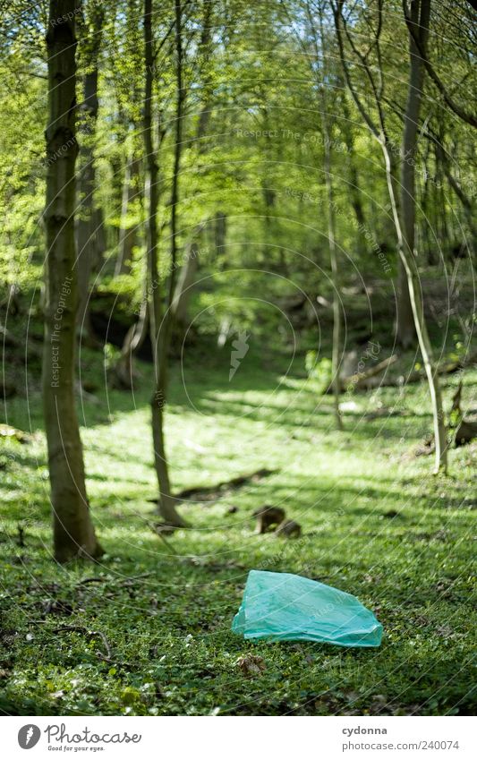Vergessen I Umwelt Natur Landschaft Baum Gras Wald ästhetisch einzigartig entdecken Umweltverschmutzung Vergänglichkeit Wert Zeit Plastiktüte vergessen