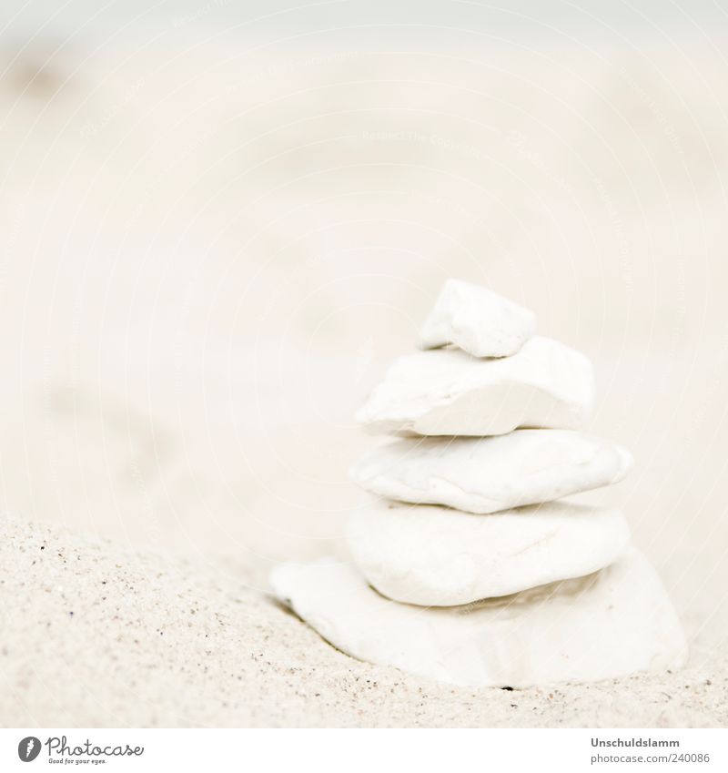 Milchsteine harmonisch ruhig Strand Dekoration & Verzierung Sand Turm Stein bauen ästhetisch hell weiß Zufriedenheit Natur Umwelt 5 Stapel Gleichgewicht