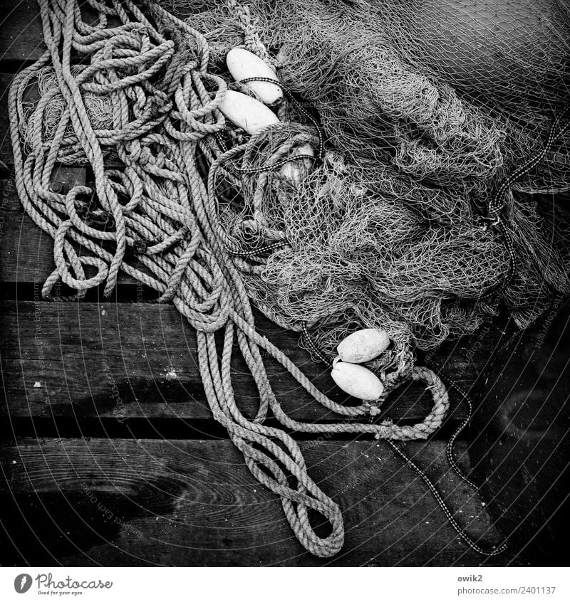Strippenwirtschaft Seil Fischernetz Dinge liegen maritim Steg achtlos hingeworfen Schwarzweißfoto Außenaufnahme Detailaufnahme Strukturen & Formen Menschenleer