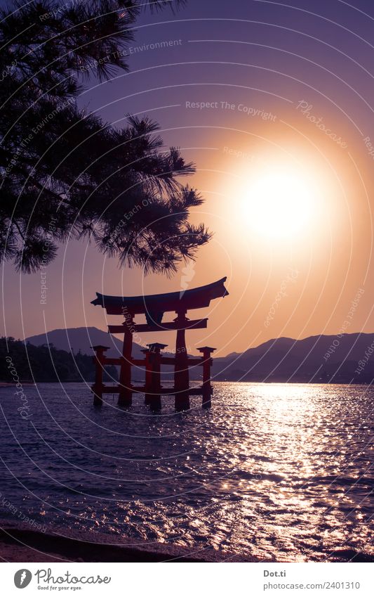 Shinto-Schrein Architektur Landschaft Wasser Wolkenloser Himmel Sonne Sonnenaufgang Sonnenuntergang Sonnenlicht Berge u. Gebirge Küste Insel Miyajima Japan