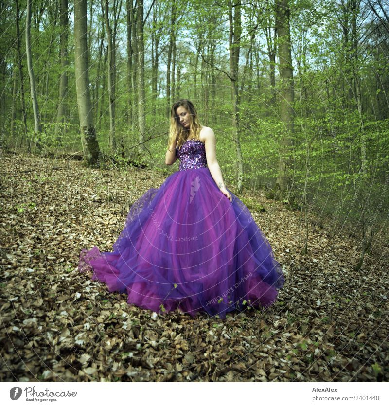 Junge, große Frau im lila/violettem Brautkleid im Wald Lifestyle Reichtum elegant Stil ruhig Ausflug Junge Frau Jugendliche 18-30 Jahre Erwachsene Natur
