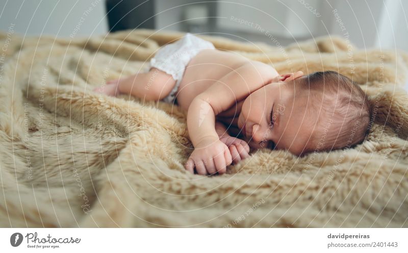 Baby schläft auf einer Decke schön ruhig Schlafzimmer Kind Mensch Frau Erwachsene Kindheit Wärme schlafen authentisch klein nackt niedlich bequem unschuldig