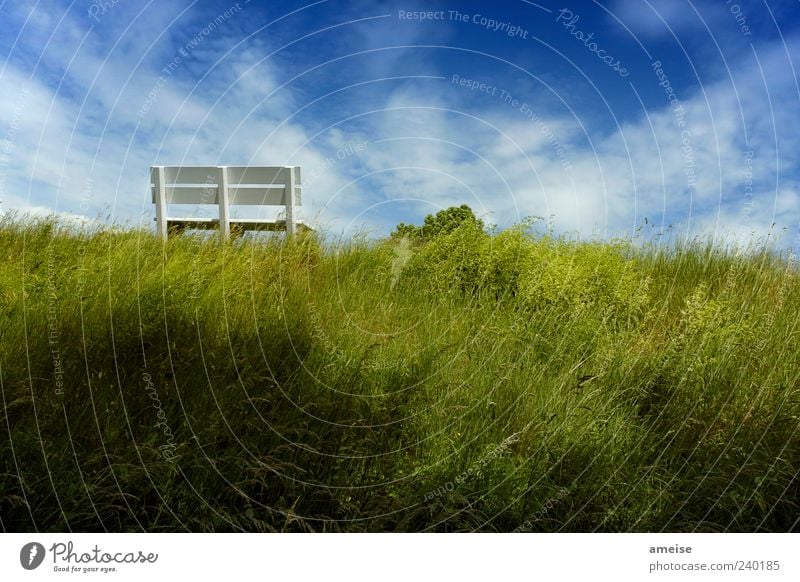 Deich Natur Himmel Wolken Sommer Schönes Wetter Gras Hügel blau grün weiß ruhig Bank Altes Land Erholung Nachmittagssonne Erholungsgebiet Wind Brise Graswiese