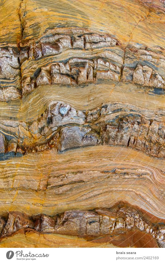 Sedimentäre Gesteinsstruktur Strand Meer Wissenschaften Geografie Geologie Geologen Umwelt Natur Erde Küste Sehenswürdigkeit Stein gelb Farbe Kunst Neugier