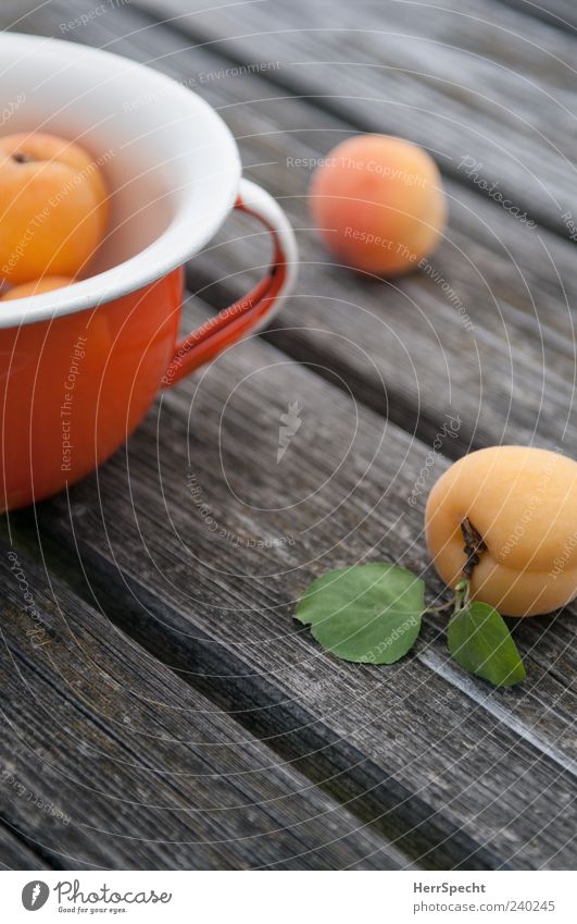 Marillen Frucht Aprikose marille Schalen & Schüsseln Topf Holz ästhetisch grün Holztisch reif frisch Farbfoto Außenaufnahme Schwache Tiefenschärfe orange liegen