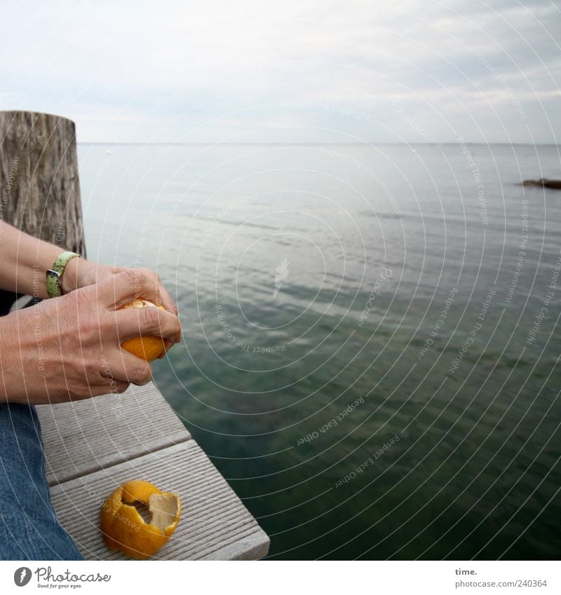 Abendmahl Orange Meer Mensch Hand Finger 1 Wasser Himmel Horizont Ostsee Holz häuten Steg Poller Südfrüchte Zitrusfrüchte Lebensmittel Frucht Farbfoto