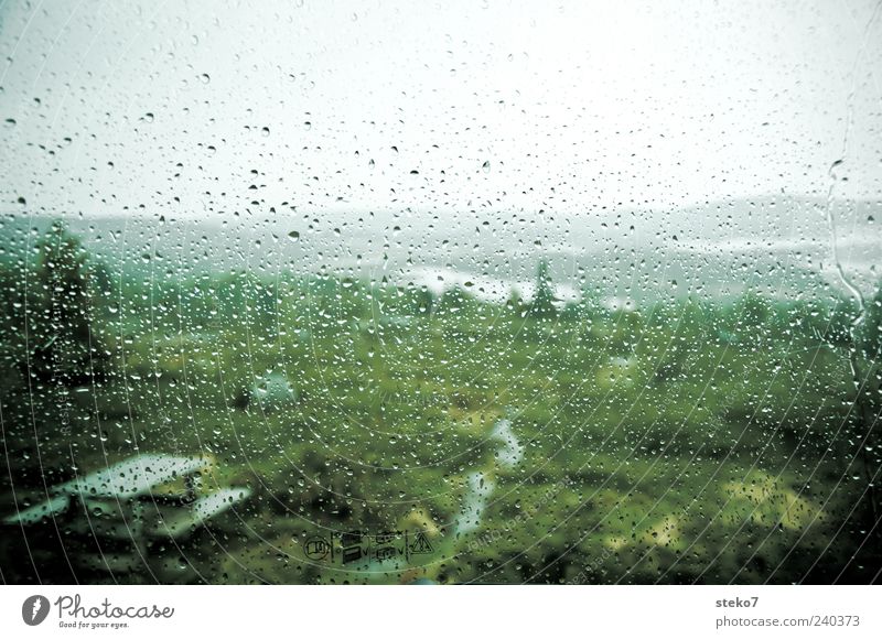 Wanderfrust Regen Wiese schlechtes Wetter Wege & Pfade Bank grau grün Farbfoto Außenaufnahme Nahaufnahme Menschenleer Schwache Tiefenschärfe Wassertropfen